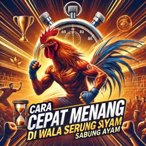 Cara Cepat Menang di Wala Meron Sabung Ayam